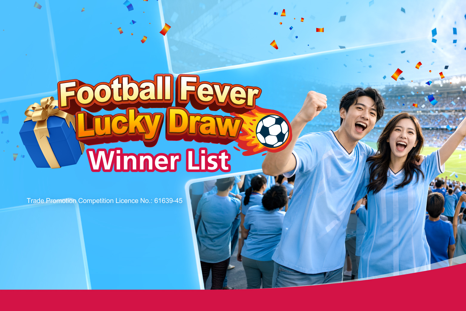 Football Fever